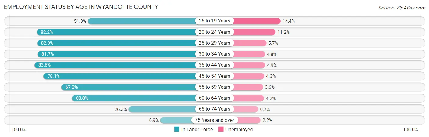 Employment Status by Age in Wyandotte County