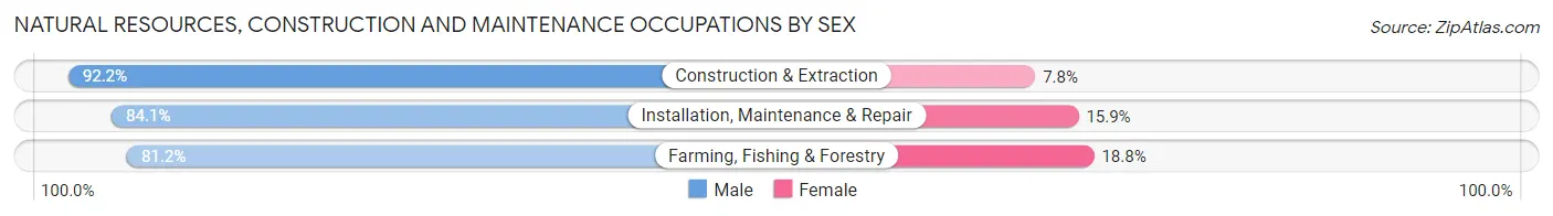 Natural Resources, Construction and Maintenance Occupations by Sex in Graves County