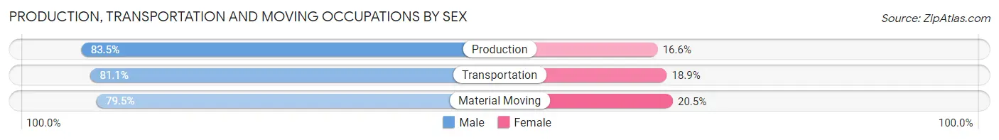 Production, Transportation and Moving Occupations by Sex in Henderson County