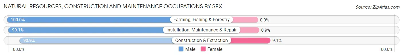 Natural Resources, Construction and Maintenance Occupations by Sex in Jessamine County