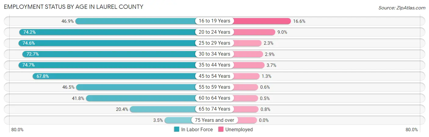 Employment Status by Age in Laurel County