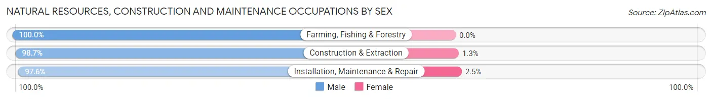 Natural Resources, Construction and Maintenance Occupations by Sex in McCracken County