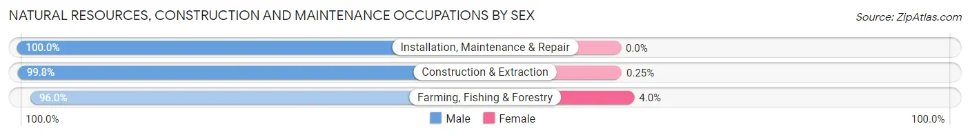 Natural Resources, Construction and Maintenance Occupations by Sex in Caldwell Parish