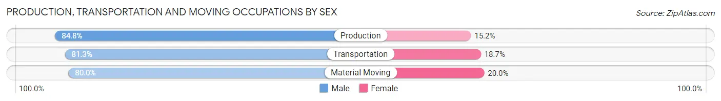 Production, Transportation and Moving Occupations by Sex in East Baton Rouge Parish