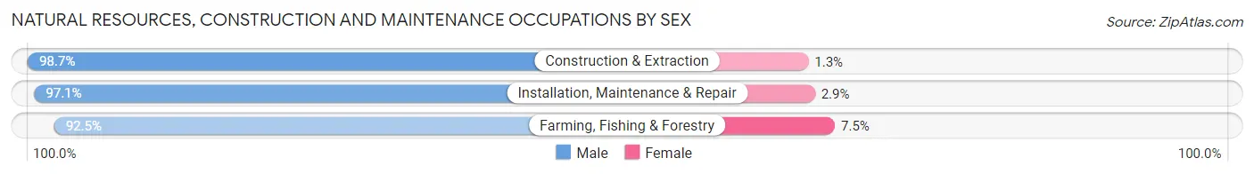 Natural Resources, Construction and Maintenance Occupations by Sex in Iberia Parish