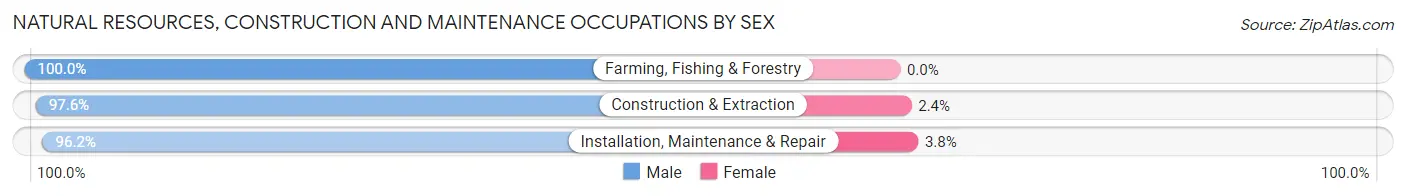 Natural Resources, Construction and Maintenance Occupations by Sex in Lafayette Parish