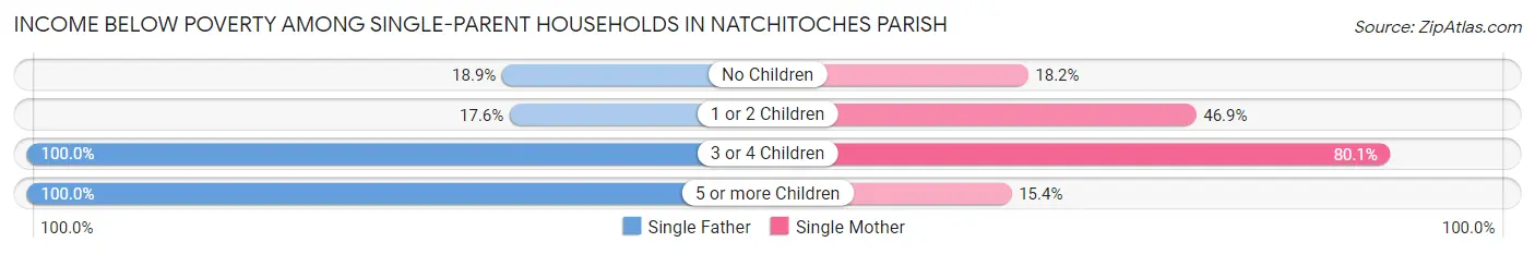Income Below Poverty Among Single-Parent Households in Natchitoches Parish