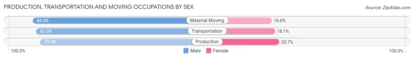 Production, Transportation and Moving Occupations by Sex in Rapides Parish