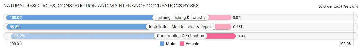 Natural Resources, Construction and Maintenance Occupations by Sex in St. Charles Parish