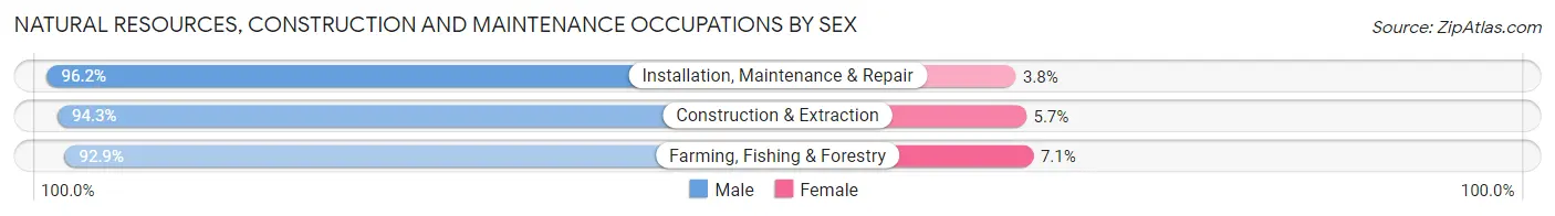 Natural Resources, Construction and Maintenance Occupations by Sex in St. Landry Parish