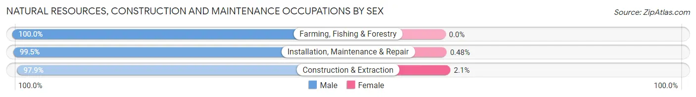 Natural Resources, Construction and Maintenance Occupations by Sex in St. Martin Parish