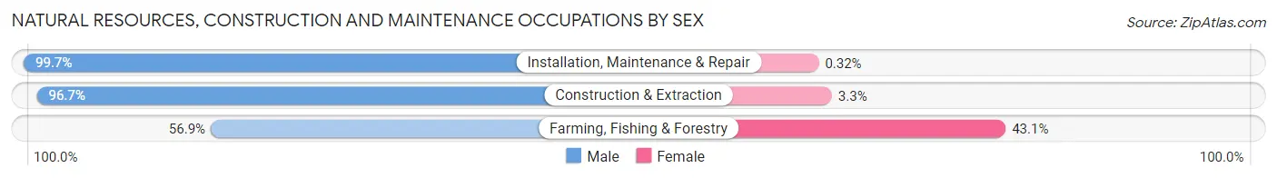 Natural Resources, Construction and Maintenance Occupations by Sex in St. Tammany Parish