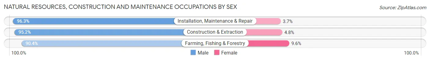 Natural Resources, Construction and Maintenance Occupations by Sex in Vernon Parish