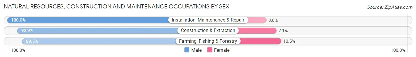 Natural Resources, Construction and Maintenance Occupations by Sex in Winn Parish