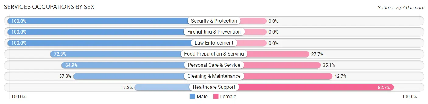 Services Occupations by Sex in Nantucket County