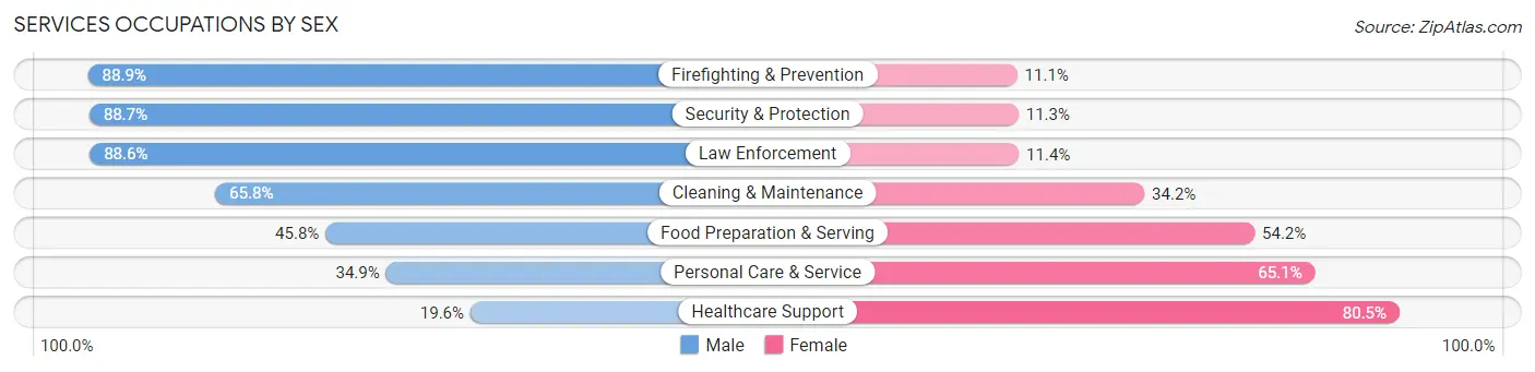Services Occupations by Sex in Allegany County