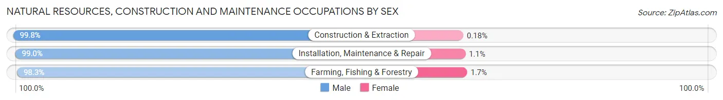 Natural Resources, Construction and Maintenance Occupations by Sex in Cecil County