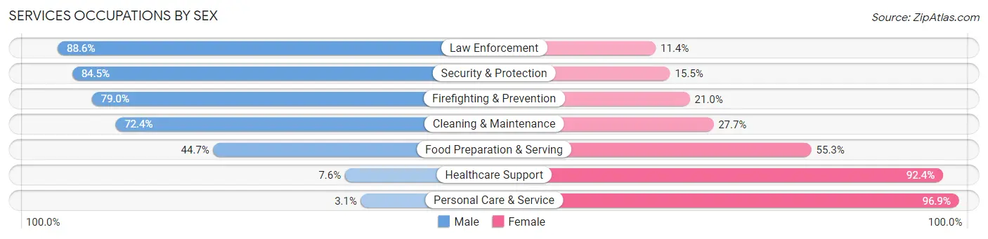 Services Occupations by Sex in Dorchester County