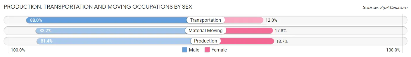 Production, Transportation and Moving Occupations by Sex in Androscoggin County