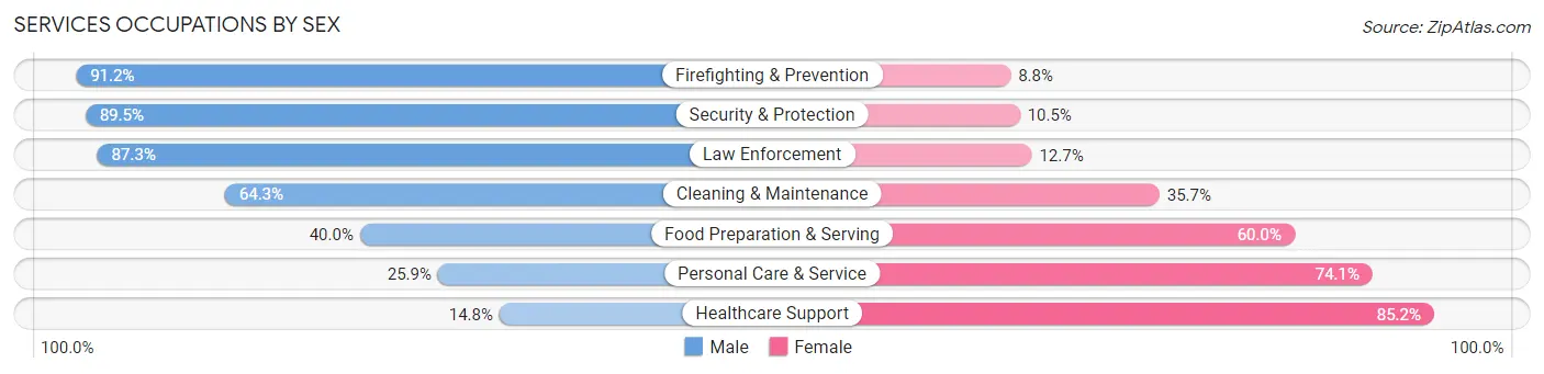 Services Occupations by Sex in Androscoggin County