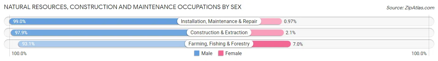 Natural Resources, Construction and Maintenance Occupations by Sex in Aroostook County