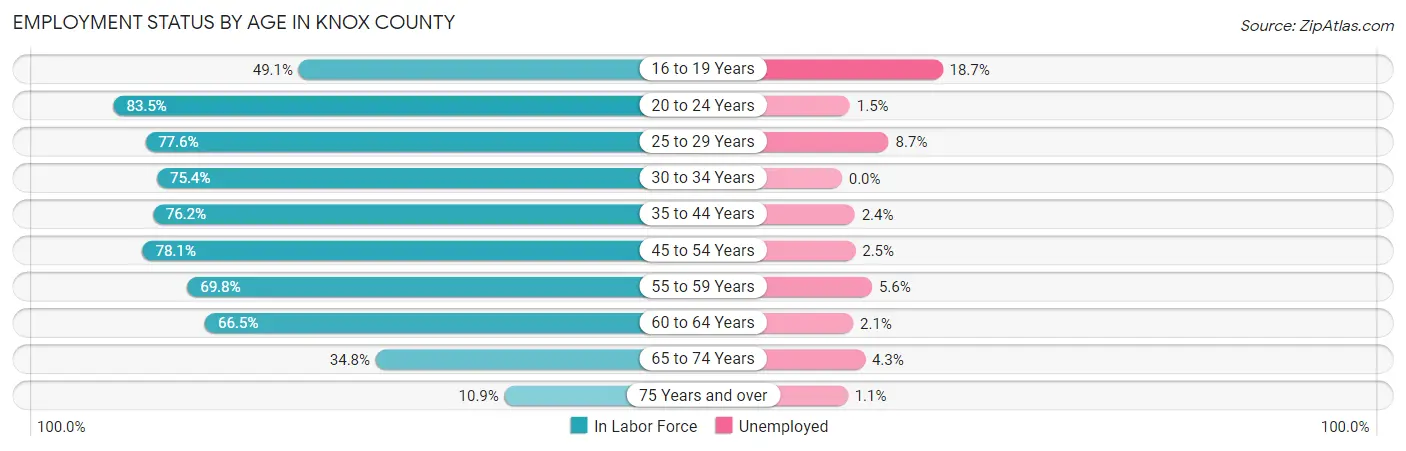 Employment Status by Age in Knox County