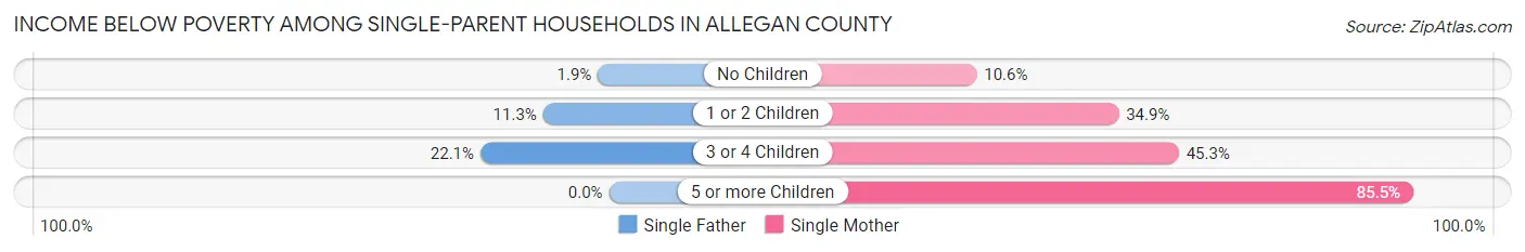 Income Below Poverty Among Single-Parent Households in Allegan County