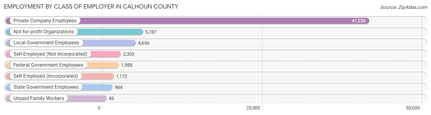 Employment by Class of Employer in Calhoun County