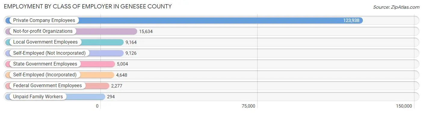 Employment by Class of Employer in Genesee County