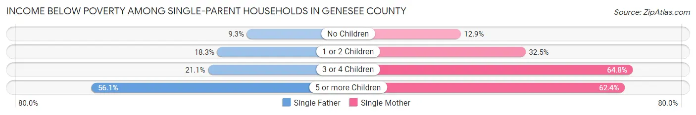 Income Below Poverty Among Single-Parent Households in Genesee County