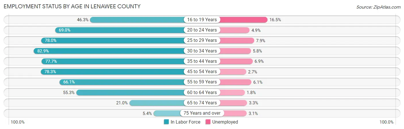 Employment Status by Age in Lenawee County