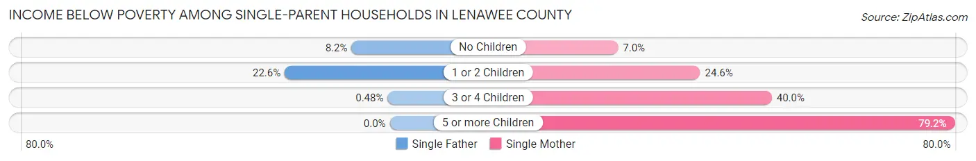 Income Below Poverty Among Single-Parent Households in Lenawee County