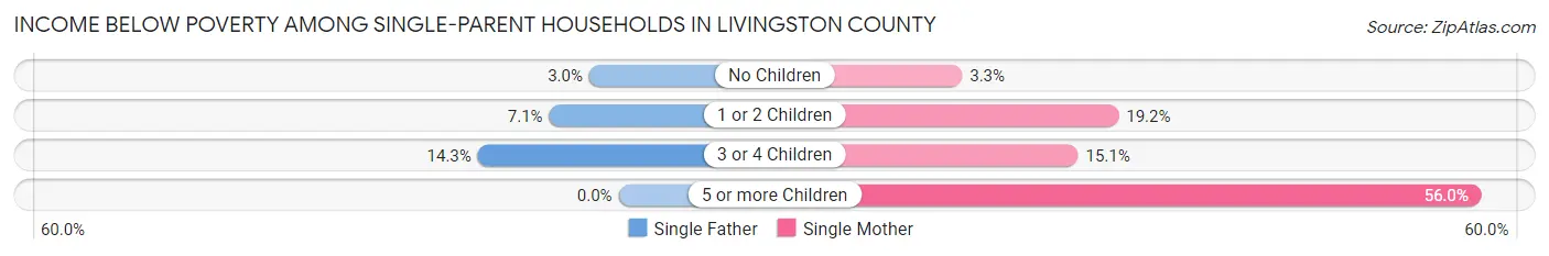 Income Below Poverty Among Single-Parent Households in Livingston County