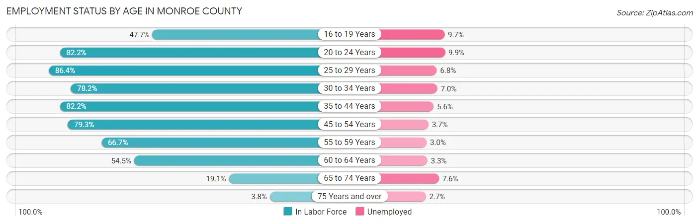 Employment Status by Age in Monroe County