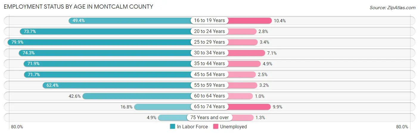 Employment Status by Age in Montcalm County