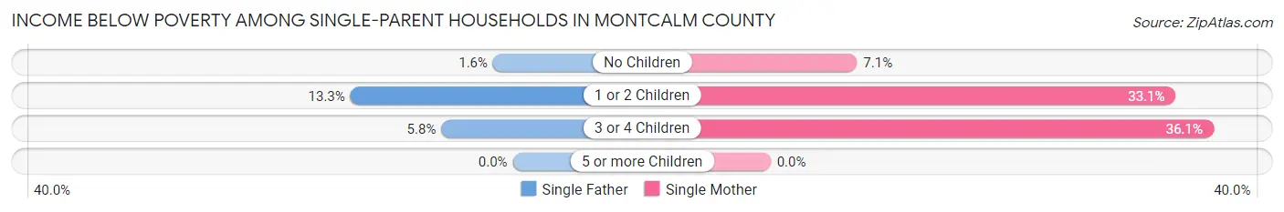 Income Below Poverty Among Single-Parent Households in Montcalm County