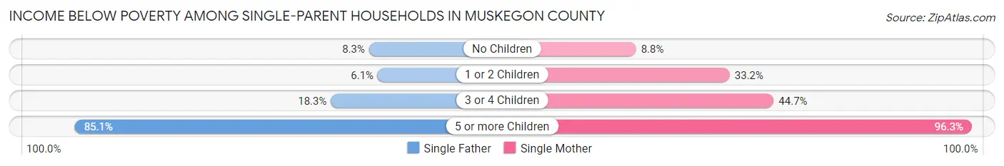 Income Below Poverty Among Single-Parent Households in Muskegon County