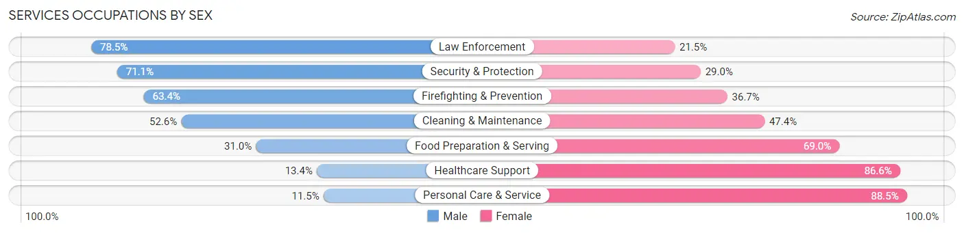 Services Occupations by Sex in Shiawassee County