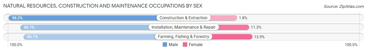 Natural Resources, Construction and Maintenance Occupations by Sex in Blue Earth County