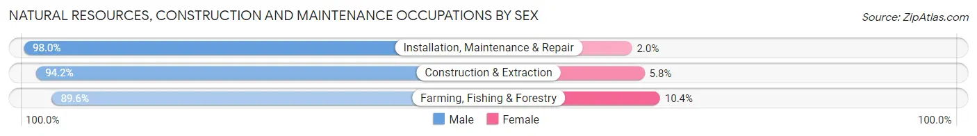 Natural Resources, Construction and Maintenance Occupations by Sex in Carlton County