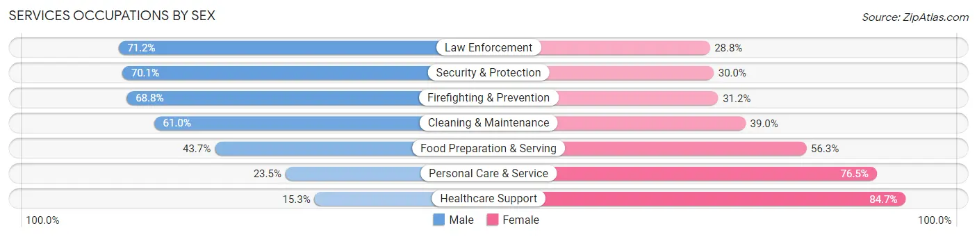 Services Occupations by Sex in Crow Wing County