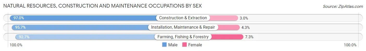 Natural Resources, Construction and Maintenance Occupations by Sex in Isanti County