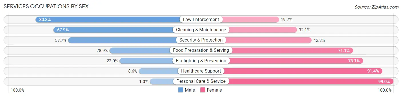 Services Occupations by Sex in Isanti County