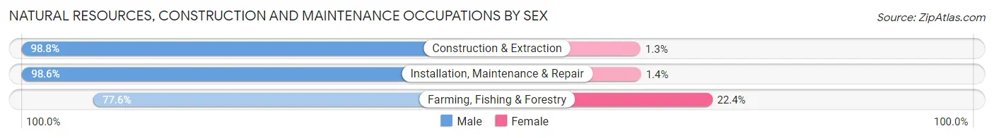 Natural Resources, Construction and Maintenance Occupations by Sex in Kandiyohi County