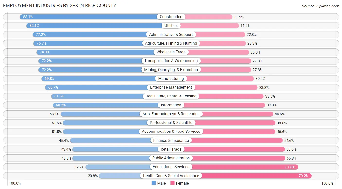 Employment Industries by Sex in Rice County