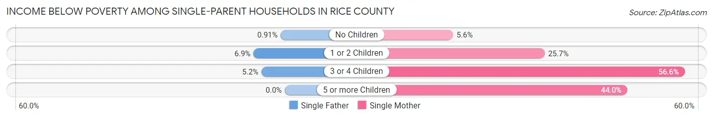 Income Below Poverty Among Single-Parent Households in Rice County