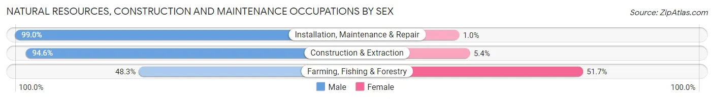 Natural Resources, Construction and Maintenance Occupations by Sex in Rice County