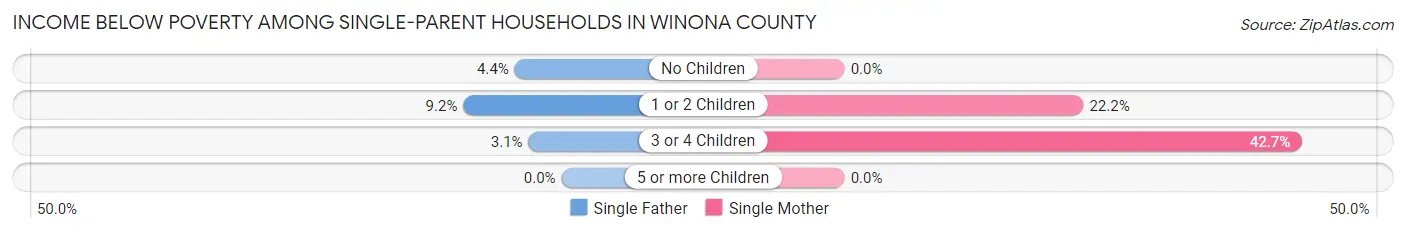 Income Below Poverty Among Single-Parent Households in Winona County