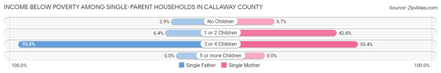 Income Below Poverty Among Single-Parent Households in Callaway County