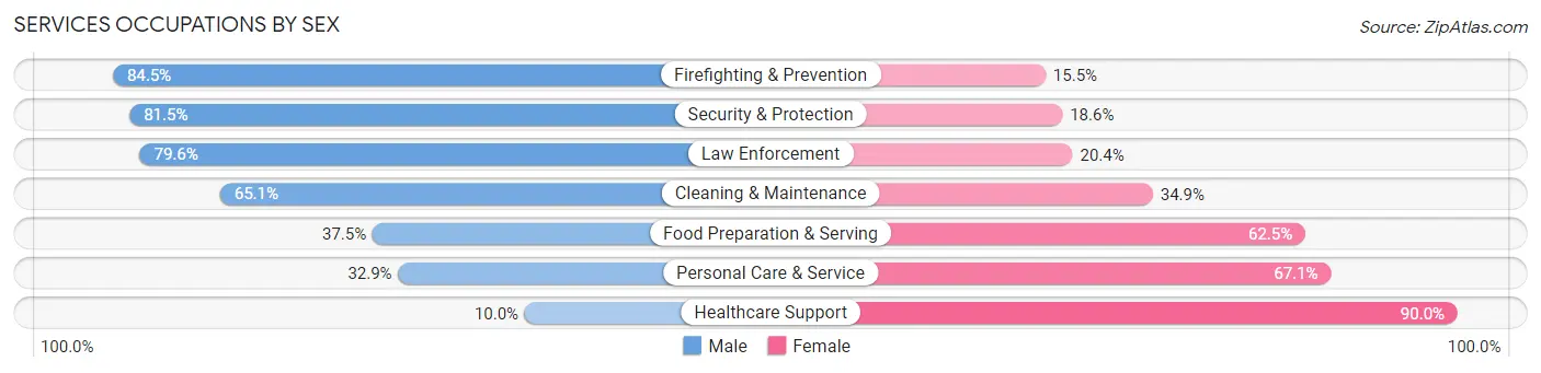 Services Occupations by Sex in Johnson County
